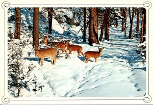 Canada Ontario Greetings From Sturgeon Falls 1989