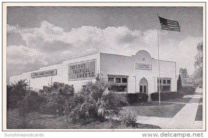 Florida Davenport Taylor's Tropical Sweets Shop 1954