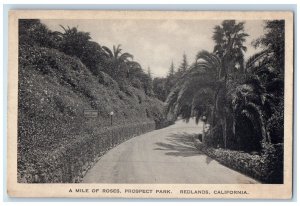 c1960s A Mile Of Roses Prospect Park Redlands California CA Unposted Postcard