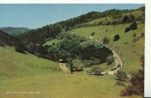 Surrey Postcard - Zig-Zag Road - Box Hill - Ref TZ7478