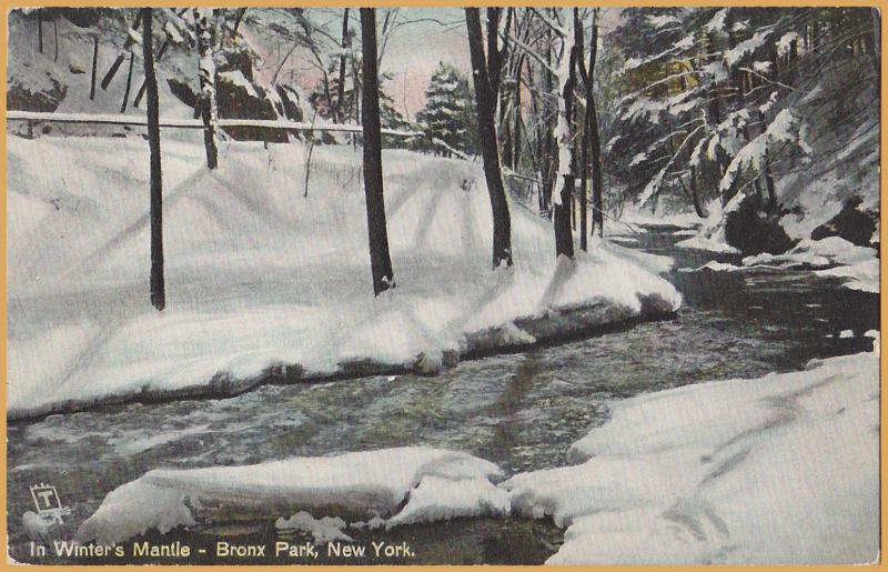 In Winter's Mantle - In Bronx Park, New York - Tuck's Post Card