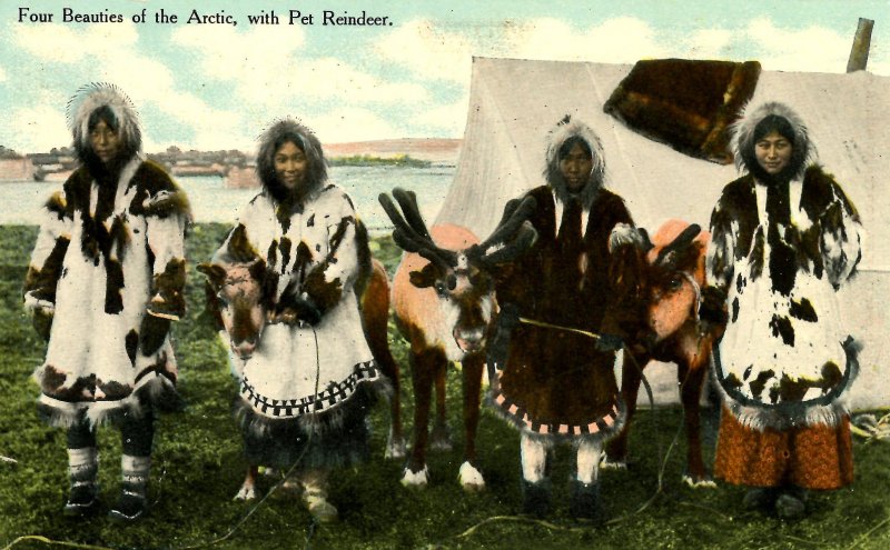 Arctic Region - Four Beauties with Pet Reindeer