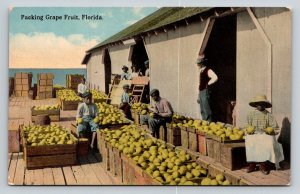 African Americans  Black  Children  Packing Grape Fruit  Florida   Postcard