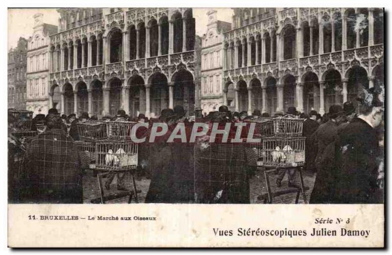 Stereoscopic Card - Brussels - The March of Birds - Julien Damoy - Old Postcard