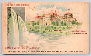 Advertising~Niagara Falls NY & Plant Home of Shredded Wheat~Vintage Postcard