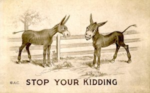 Humor - Stop your kidding (donkeys)
