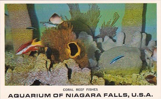 Aquarium Of Niagara Falls Coral Reef Fishes U S A Niagara Falls New York