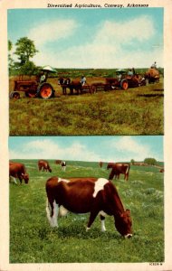 Arkansas Conway Diversified Agriculture Farming Scenes Curteich