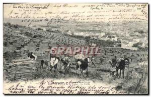 Old Postcard in the Land of the Champagne vineyard work TOP