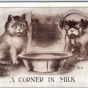 1910 Corner in Milk Cute Cat & Dog Roth Langley Postcard Puppy Kitten Eyes A80