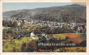 Birds Eye View - Roscoe, New York NY  