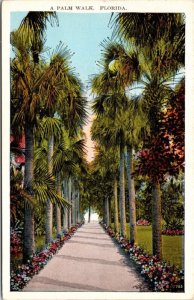 Palm Walk Florida Fl Jacksonville 1930 Pm Wob Note Postcard