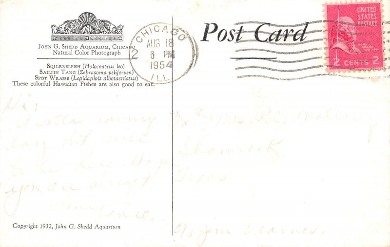 Chicago Illinois 1954 Postcard Shedd Aquarium Hawaiian Fishes