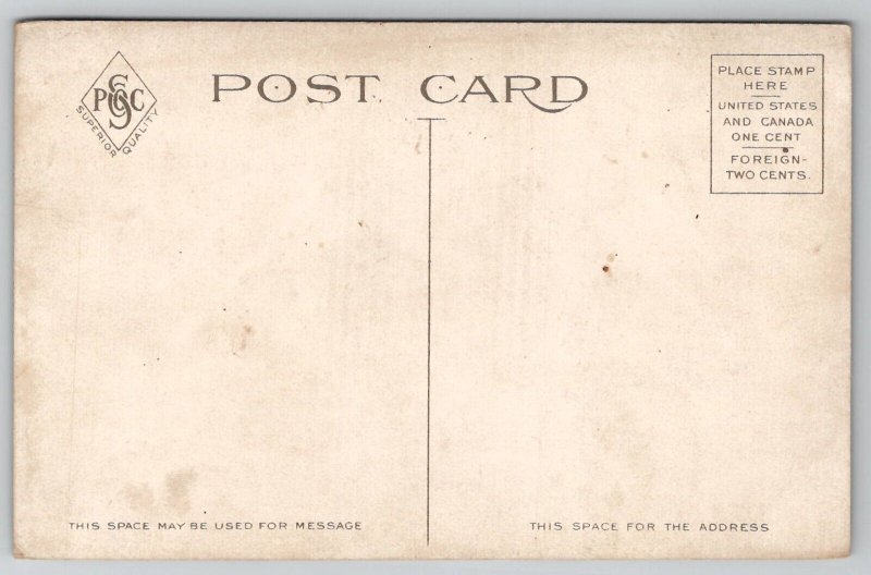 Worcester MA Lake In Elm Park Massachusetts Postcard D39