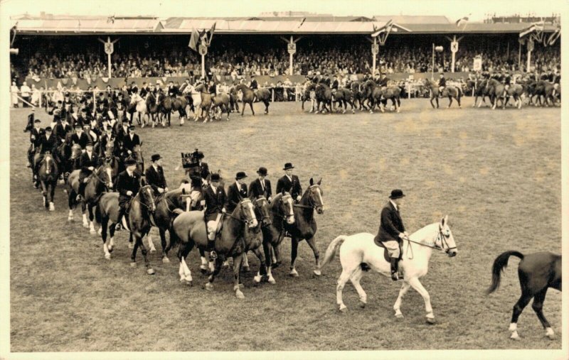 Hippique sport horses group horse riders 1954-1955 RPPC 03.95