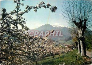 Modern Postcard The Canigou in spring