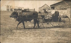 Hanley Saskatchewan The Goose Lake Special Oxen Wagon Real Photo Postcard