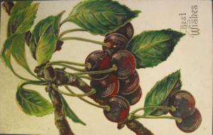 Embossed Cherries Greeting c1910 Postcard