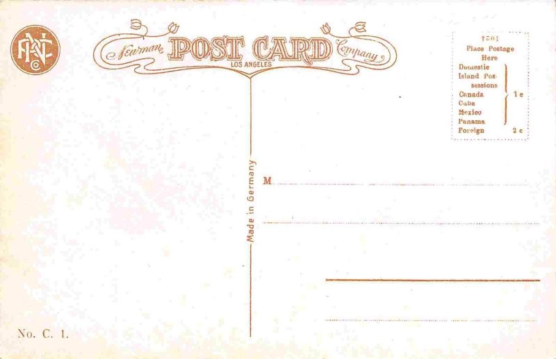 Streetcar Circular Bridge Mt Lowe California 1910c postcard