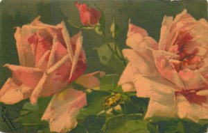 Roses C. Klein artist postcard