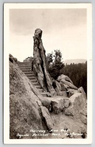 Sequoia National Park California Stairway Moro Rock RPPC Real Photo Postcard A50