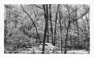 J73/ Palestine Texas RPPC Postcard c1940s Davey Lake Auto Dogwood  89