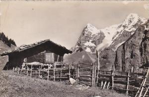 Switzerland Muerren Mornch Eiger  Photo