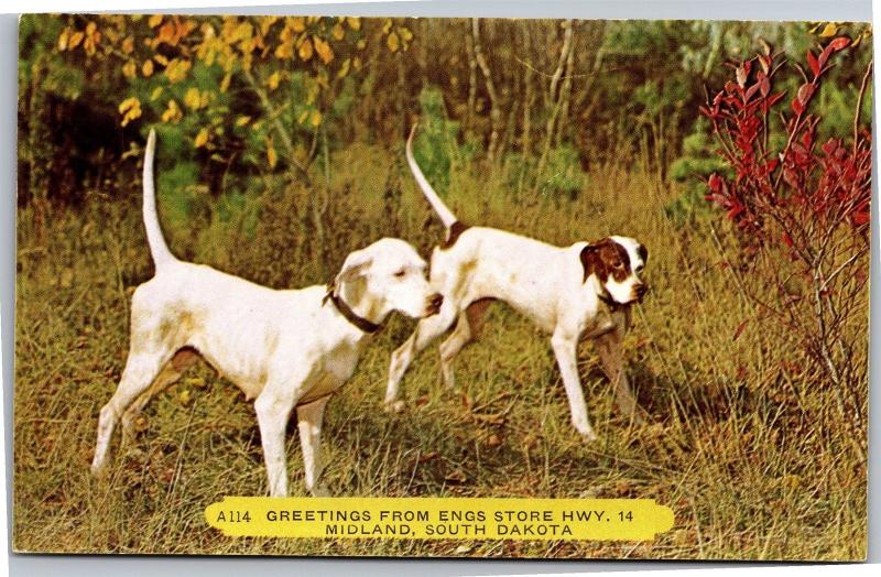 Greetings from Engs Store Hwy 14 Midland South Dakota Dogs Vintage Postcard L01