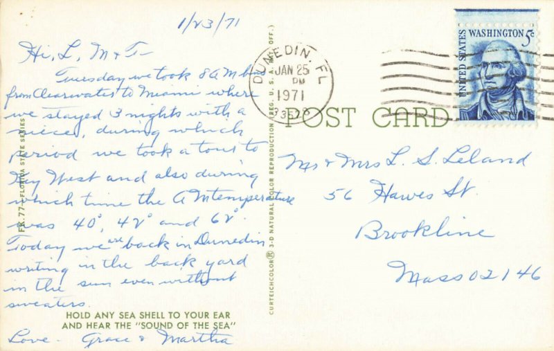 Postcard Sea Shells Of Florida Posted 1971