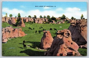 Horses Graze The Badlands Of Montana~EC Kropp Vintage Linen Postcard
