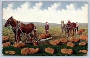 J89/ Portland Oregon Postcard c1910 Potato Exaggeration Farm Horses 105