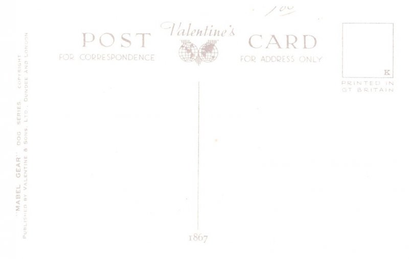 Dog ,  Scotch Terrier , Golden Cocker Spaniel