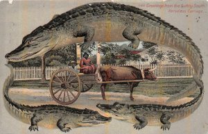 OXEN SUNNY SOUTH FLORIDA BLACK AMERICANA ALLIGATOR BORDER EMBOSSED POSTCARD 1909