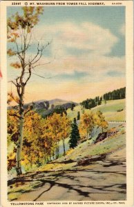 Mt. Washburn Tower Fall Highway Yellowstone Park Vintage Linen Postcard  