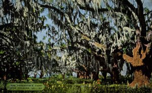 LA - New Orleans. Pakenham's Oaks