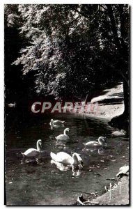 Old Postcard Luchon Inconjunctions Lake and Swans