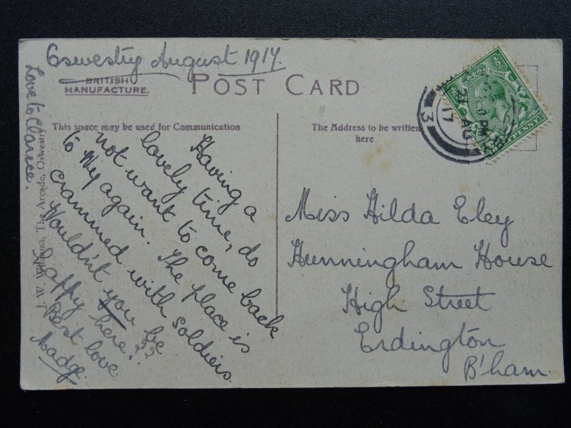 Shropshire OSWESTRY Castle Grounds c1917 Postcard by Valentine