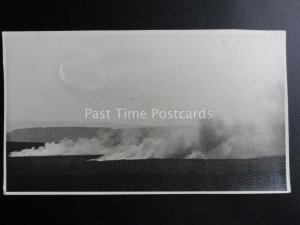 SWAYLING The Burning of Moorlands Old Heather - Old RP Postcard (Trimmed)
