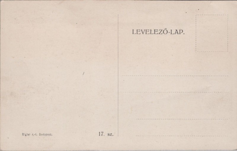 Hungary Budapest Millennium Denkmal Vintage Postcard C095