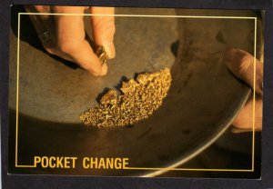 AK Panning for Gold Nuggets Alaska Postcard