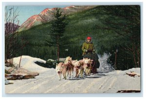 A Team Of Ed Clark's Eskimo Sled Dogs Snow Winter North Woodstock NH Postcard