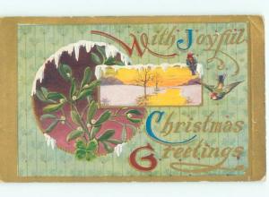 Divided-Back CHRISTMAS BIRDS SCENE Pretty Postcard W8501