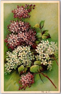 1910's Flower Bouquet Forget Me Not White Greetings & Wishes Posted Postcard