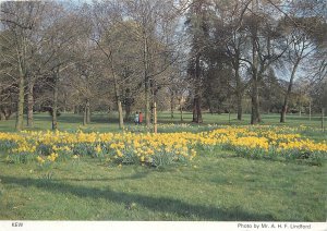 Postcard England Kew Park image