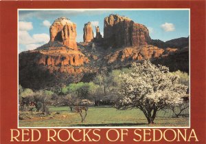 Lot 13 usa red rock crossing sedona arizona  courthouse rock