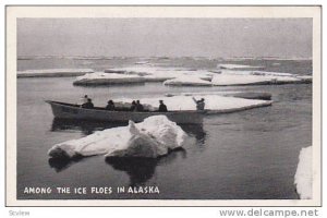 Among The Ice Floes in Alaska, 10-20s