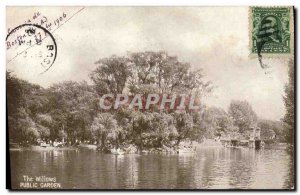 Postcard Old Willows Public Garden
