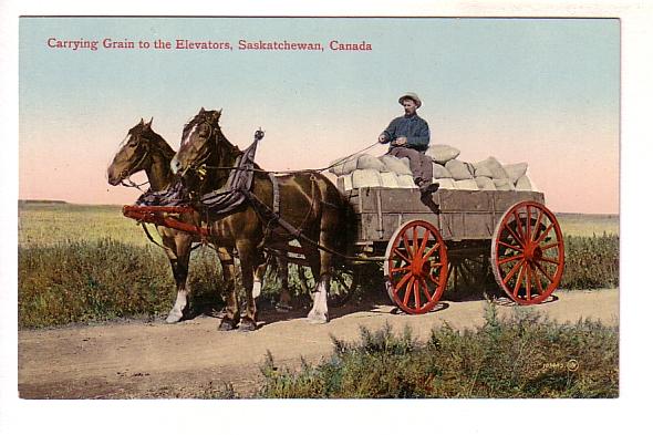 Carrying Grain to the Elevators, Saskatchewan, Two Horses and Man on Cart