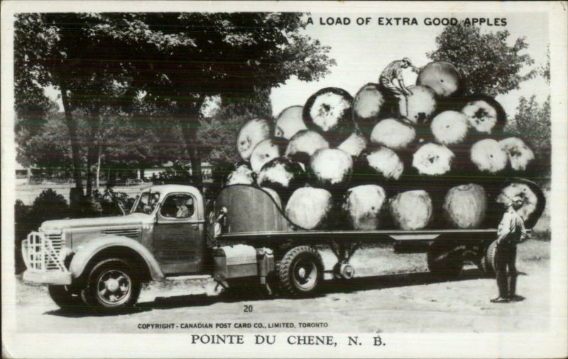 Pointe du Chene New Brunswick Giant Apples on Truck Exaggeration RPPC 