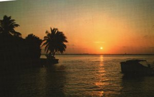 Vintage Postcard Florida Sunset Pictiresque Color Palms Ocean Natural Color
